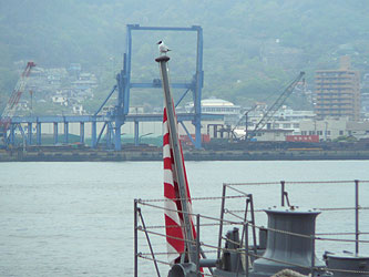 ��q�́@���j��ʌ��J