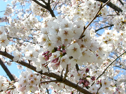 030407�@���B