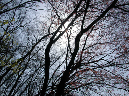 030407�@�G�ؗсB