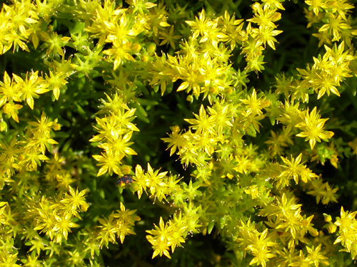 030605�@�n�`��T���B