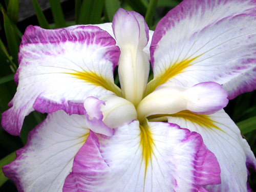 040706�@���N�炩����B