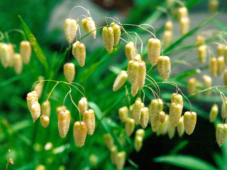 �������B