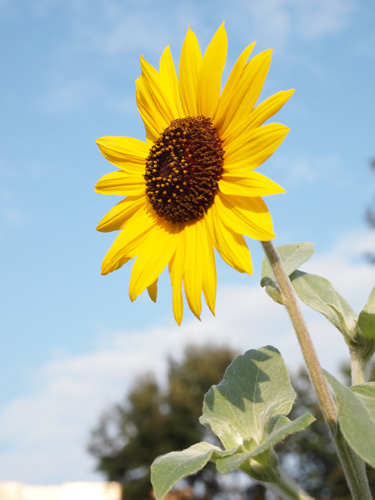 �������B