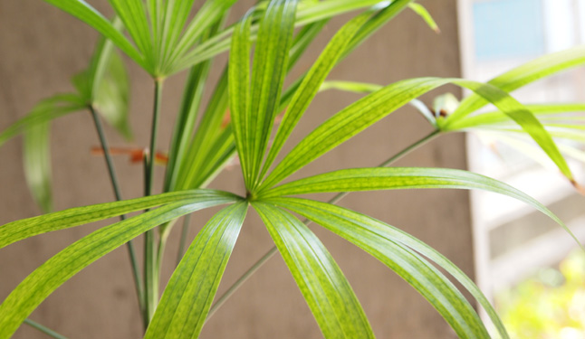 ���A���B