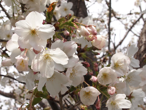 2010�N�̍��B