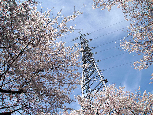 �̂Ă������B