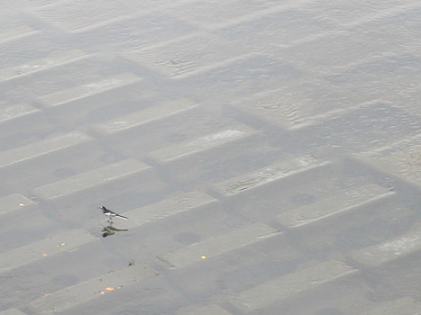 ���H��U���ă_���X�B