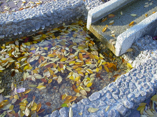 021119�@�H�̌����B