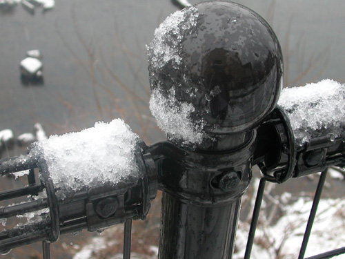 030123�@��̓��B