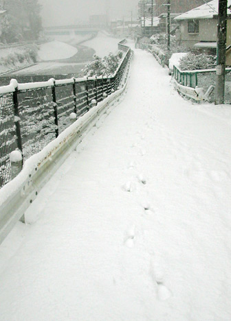 041231�@��i�F