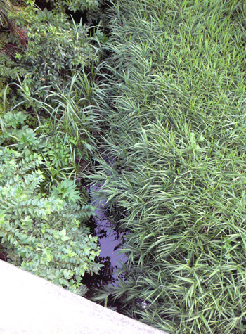 ���̏ォ��B