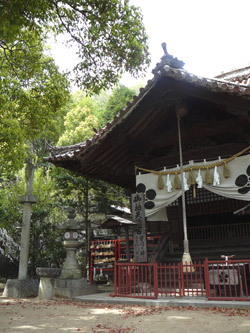 �䑳�V���{