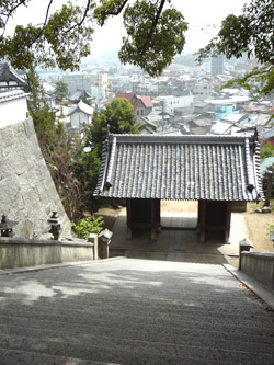 �䑳�V���{