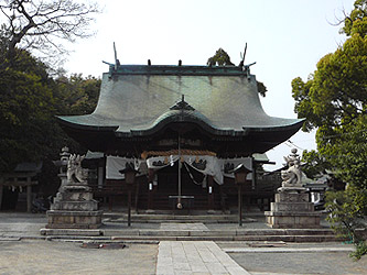 �����_��