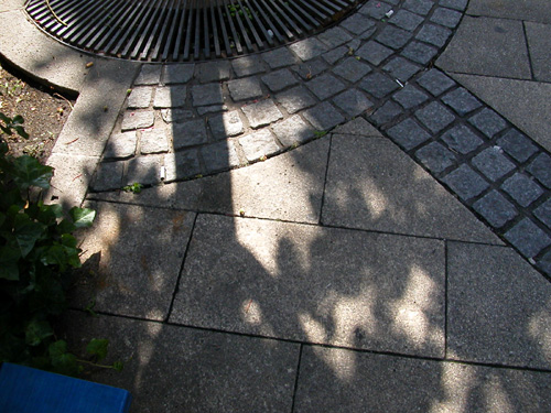 �X�H���̉e�B