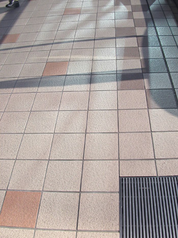 �A���ʘH�B