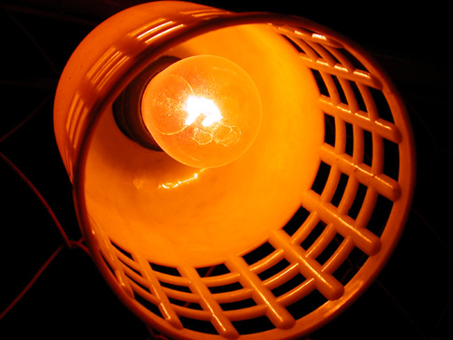 ���H�H�����B