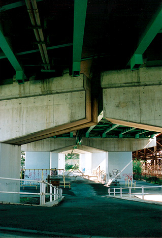 �f�N���V�񂾌����B