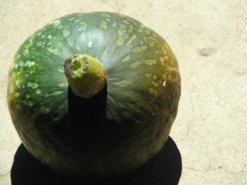 �\�t�g�{�[����̓�Z�B