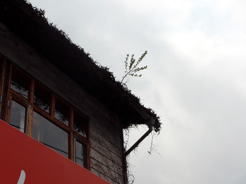 �����̏�B