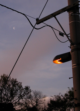 �������̂������܁B