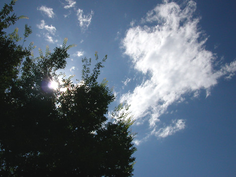 030702�@�����Ă̋�B