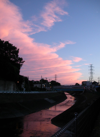 �[��̓y�蓹�B