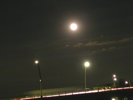 040107�@���邢�����l�B