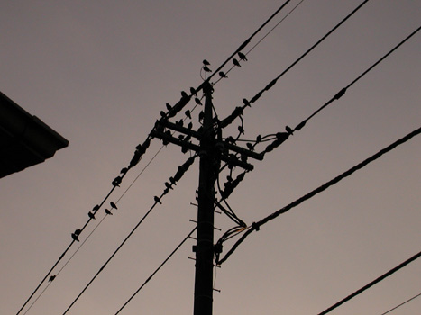 040207�@�ƘH�B